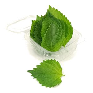 Fulla de Shiso (Paquet de 20 u.)