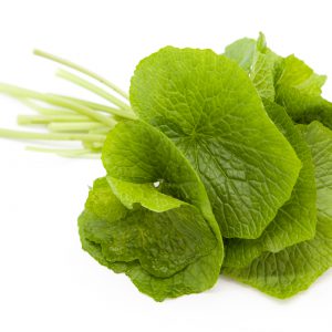 Fulla de wasabi fresc