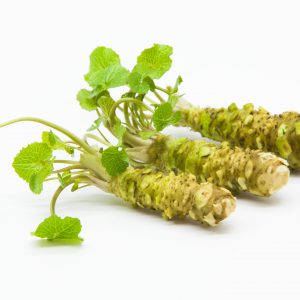 Wasabi Fresco Km0 pequeño