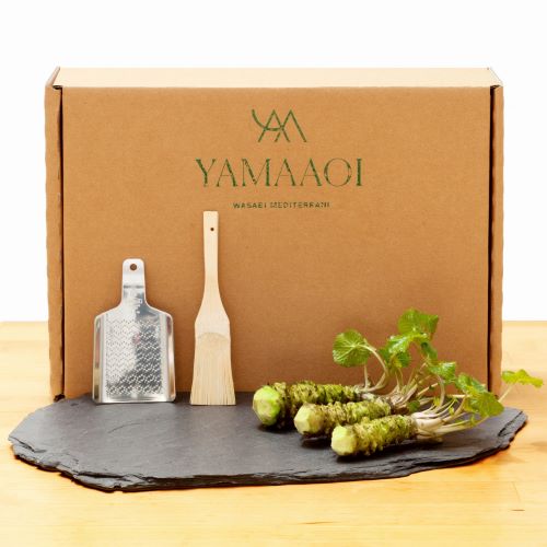 Wasabi Pack Small