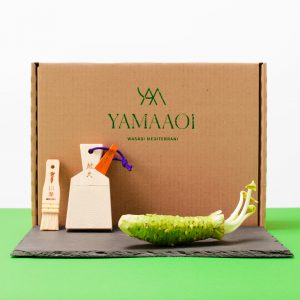 Wasabi premium pack large