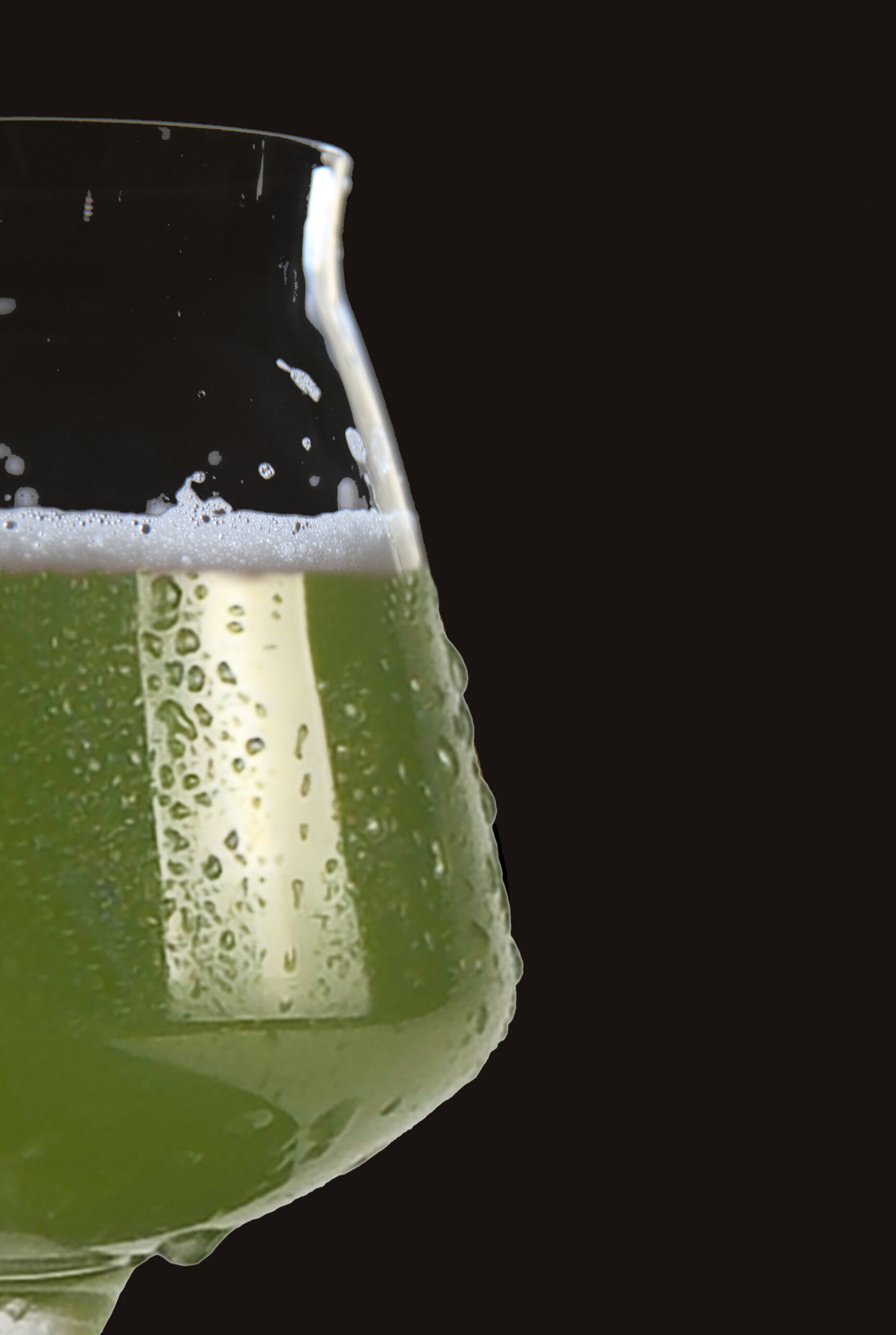 Cervesa Artesanal Wasabi 33cl caixa 12ud